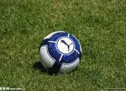 欧拉,广州车展盛,大亮相,米乐体育平台,米乐体育官方网站,米乐体育登录入口,米乐体育app下载