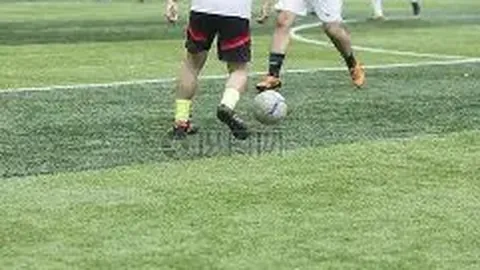 米乐体育 资讯 112758 cje