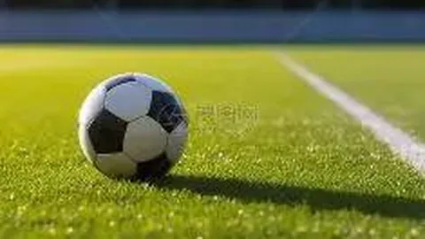 米乐体育 资讯 112824 i2a