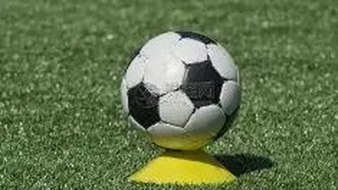 米乐体育 资讯 113113 j5m