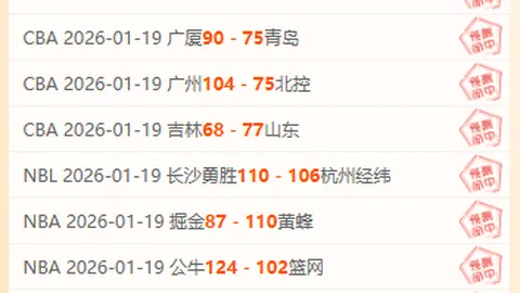 葡萄牙后腰佩佩加盟俱乐部